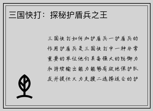 三国快打：探秘护盾兵之王